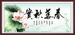 春华秋实
