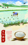 节约粮食