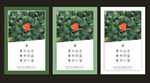 春天海报