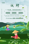 茶招聘