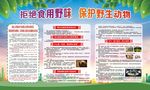 保护野生动物