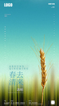 清明立夏节气创意