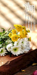 清明节海报