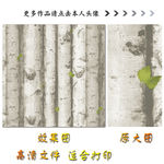 木纹