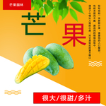 芒果海报
