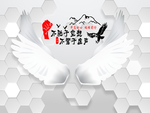 翅膀背景墙
