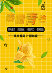 芒果