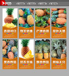 菠萝 凤梨