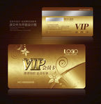 VIP卡 VIP会员卡 vip