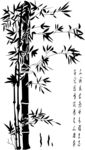 竹子 竹林 诗句 植物