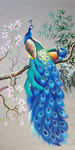 孔雀花卉