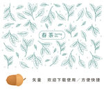 春茶绿茶