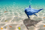 海底世界
