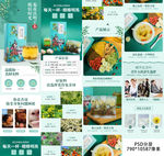 花茶详情