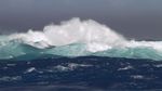 海浪汹涌鱼群