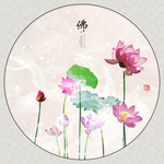 荷花