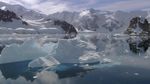 生命 浮冰雪山