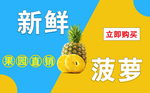 菠萝