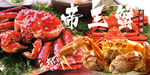 帝王蟹
