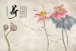 中式荷花