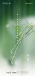 谷雨