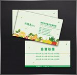 水果名片