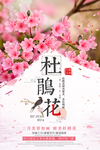 杜鹃花杜鹃节