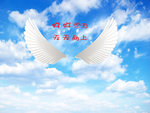 翅膀背景墙