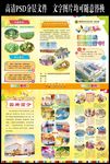 学校宣传彩页