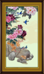 牡丹花