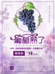 葡萄葡萄园海报
