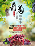 葡萄葡萄园海报