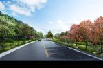 道路景观