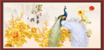 牡丹