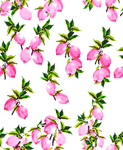 水蜜桃