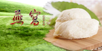 燕窝
