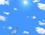天空