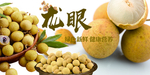 桂圆