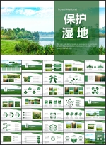 保护湿地原始森林生态氧吧PPT