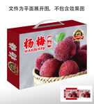 杨梅包装盒