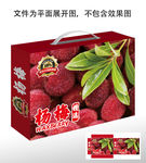 杨梅包装盒