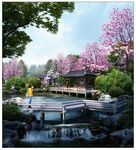 园林景观