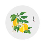 柠檬花水果花卉适量高清元素