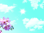 樱花蓝天白云风景