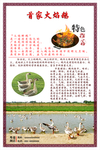 火焰鹅展板介绍