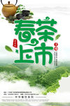 春茶上市宣传海报