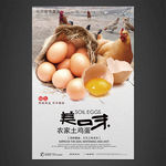 土鸡蛋海报