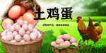 鸡蛋