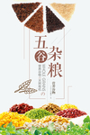 五谷杂粮粮店海报