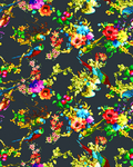 数码印花 鹦鹉 花朵